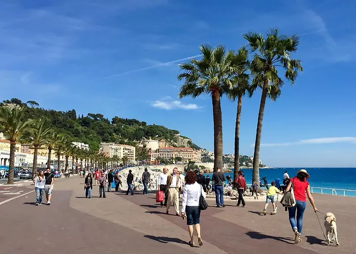 Vecchio Le Comte De *